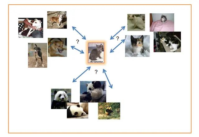 Xây dựng bộ phân loại chó, mèo hay gấu trúc với k-NN